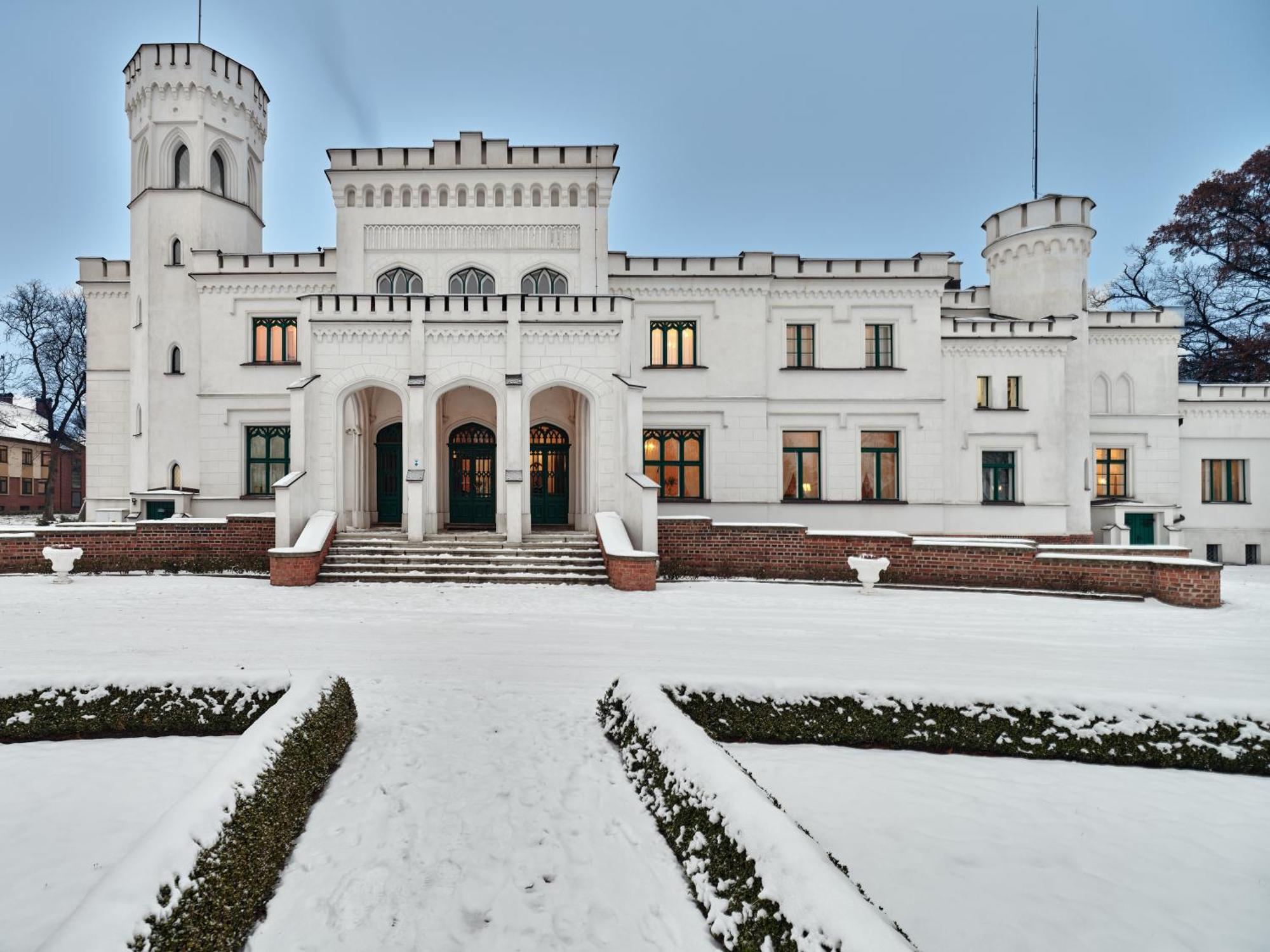 Palac Potockich W Bedlewie Bedlewo Экстерьер фото