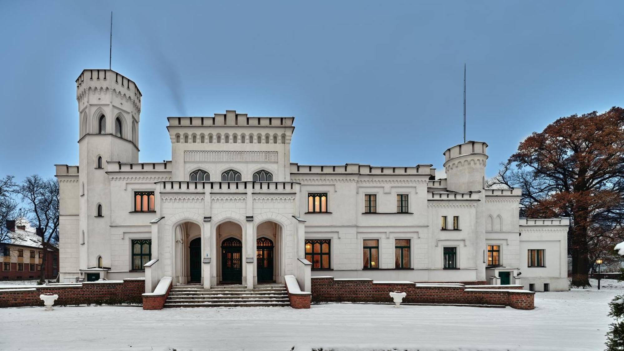 Palac Potockich W Bedlewie Bedlewo Экстерьер фото
